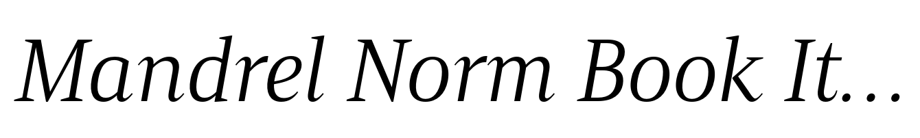 Mandrel Norm Book Italic